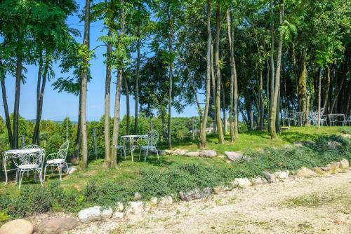 Agroturismo Agriturismo B&B Corte Tonolli