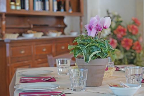 Agroturismo Agriturismo B&B Corte Tonolli