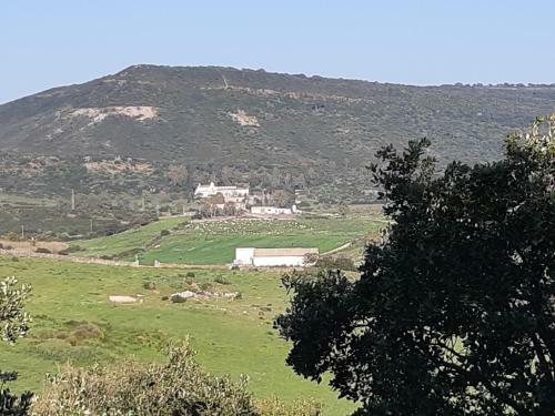 Rvv Alghero Laurus Villa Indipendente Vicina Alle Spiagge