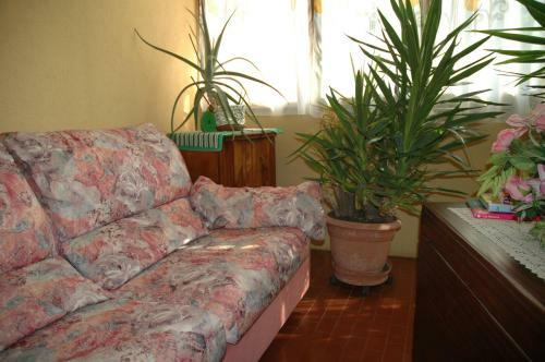 B&B Villa Carolina