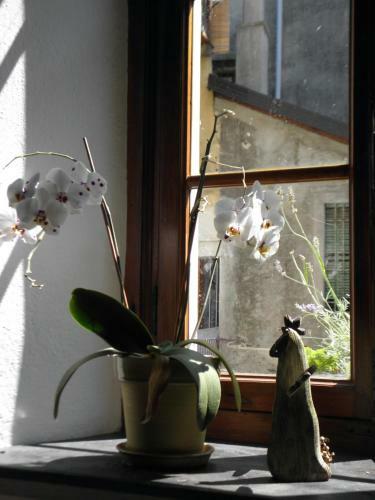 Hostal Al Vicolo Del Gallo