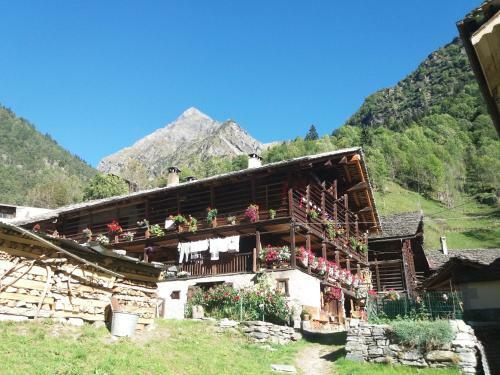 C� Del T�mas