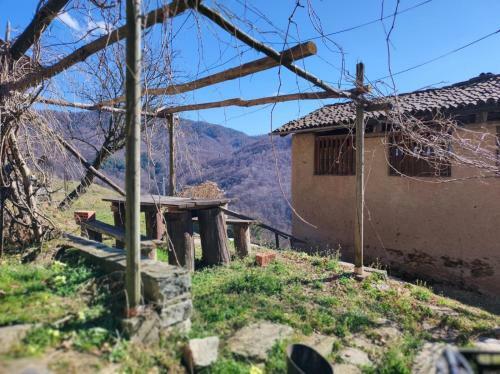 C� Del T�mas
