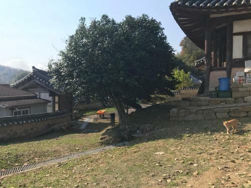 Hostal Mangindang Hanok