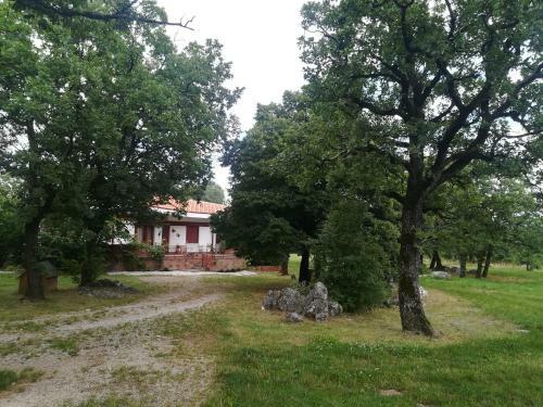 Villa Ograda Trieste - Farm Stay