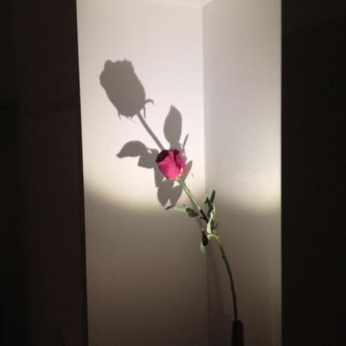 Apartamento Studio 23