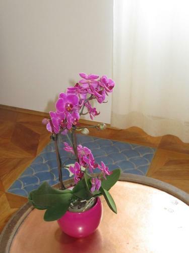 Apartamento Dada