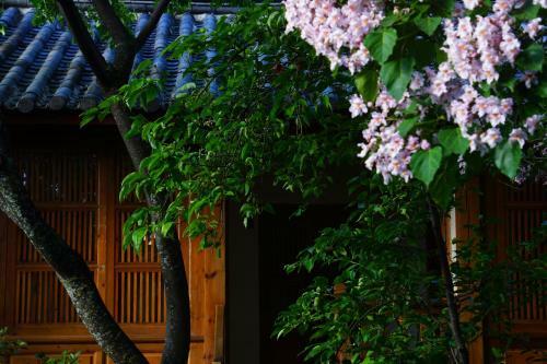 My Love Inn