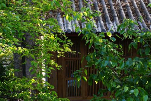 My Love Inn