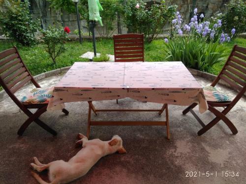 Bed & Breakfast Alle Rose Barcolane
