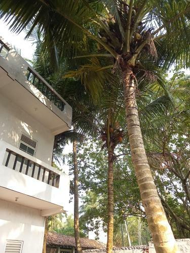 Hostal Bawans Villa & Restaurant