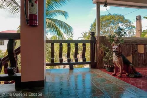 Posada Ncb Homestay