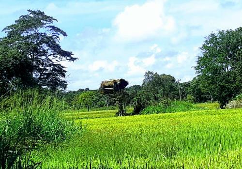 Hostal Hidden Lake Cottages Sigiriya