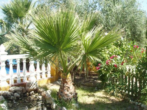 Apartamentos Tur�sticos Los Llanos