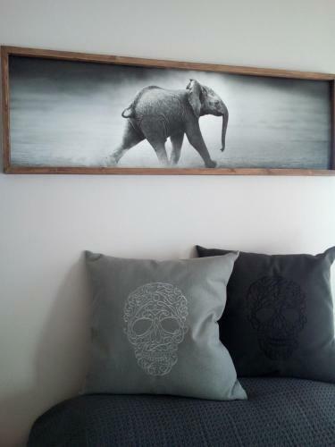 Apartamento Tribal Concept