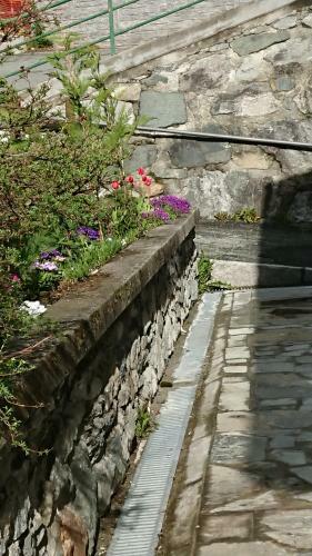 B&B Maison Odille