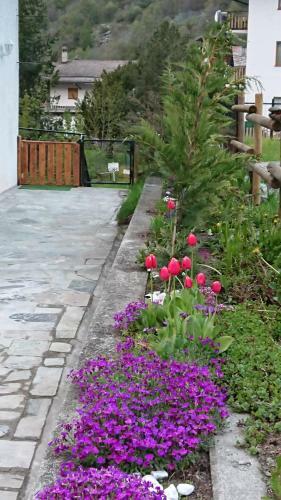 B&B Maison Odille