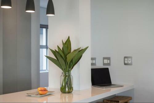Apartamento 7ont