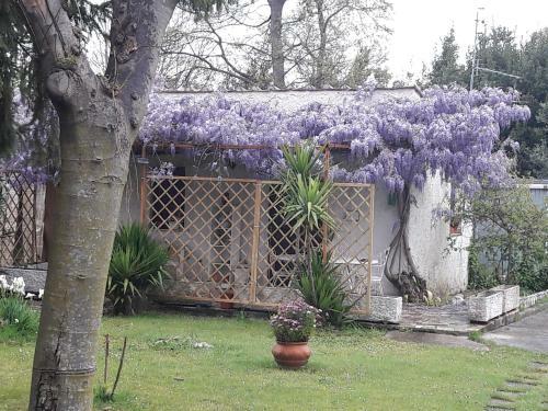 Apartamento Chez Nous