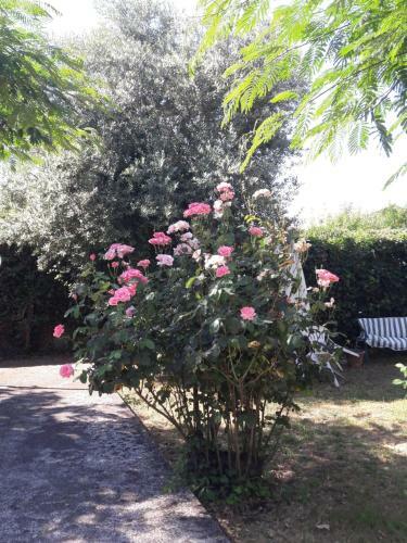 Apartamento Chez Nous