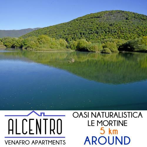 Alcentro Orange Home