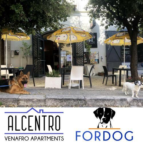 Alcentro Orange Home