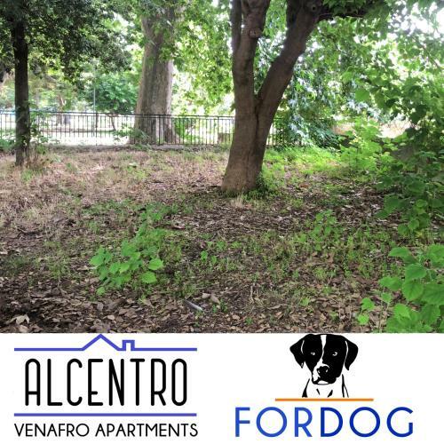 Alcentro Orange Home