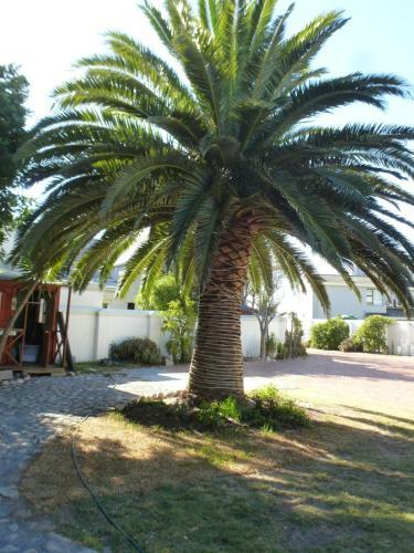 Hostal Cape Town Milnerton Lagoon Villa