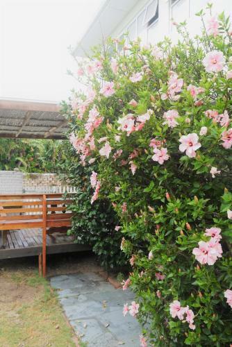 Hostal Cape Town Milnerton Lagoon Villa