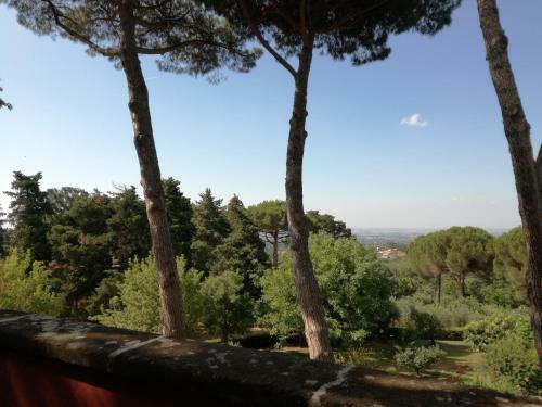 Vigna Dell'agrifoglio - Bed And Breakfast