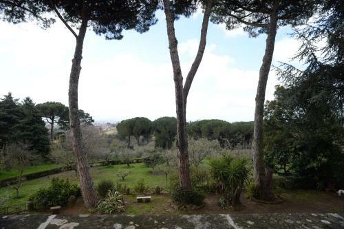 Vigna Dell'agrifoglio - Bed And Breakfast