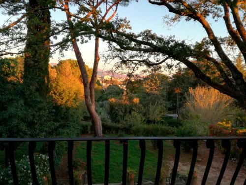 Vigna Dell'agrifoglio - Bed And Breakfast
