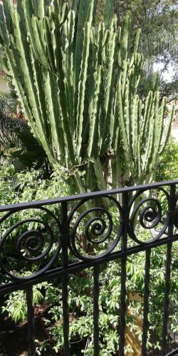 Villino With Garden