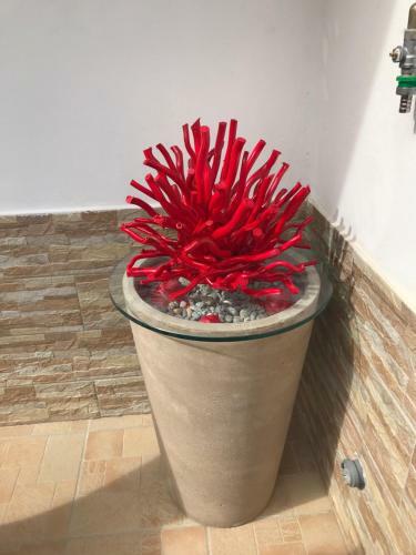 Bed & Breakfast La Conchiglia