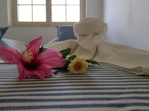 Apartamento Villa Laria