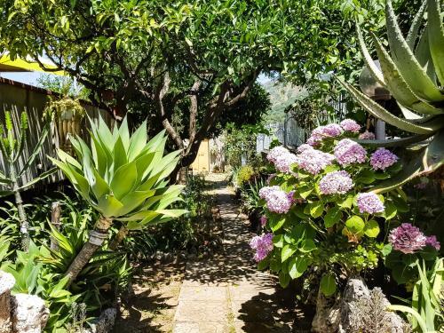 Apartamento Villa Laria