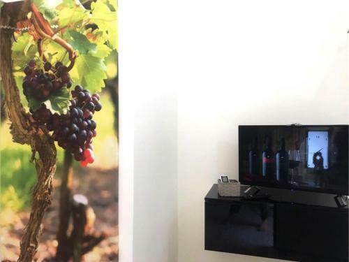 A Casa Di F� (vigna-ulivo-fico D'india)