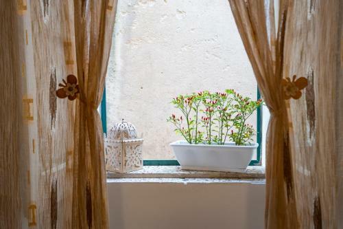 Apartamento La Casina Nel Centro