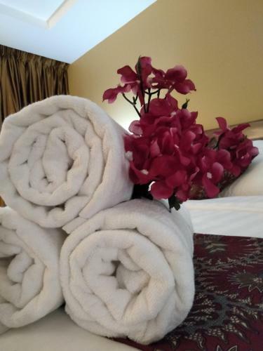 Hotel Temu Primula