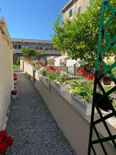 Hostal Mal� Room 102
