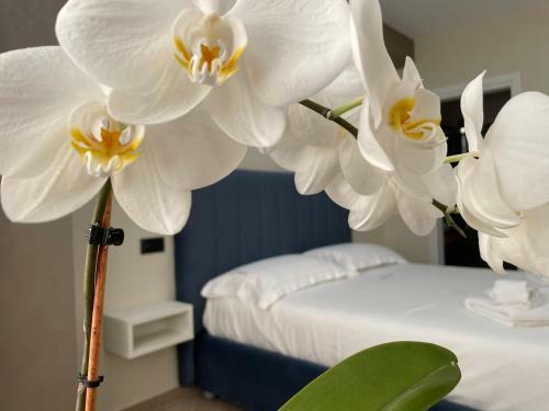 B&B L'orchidea