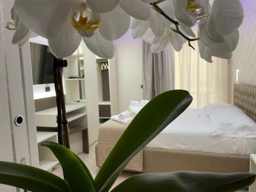 B&B L'orchidea