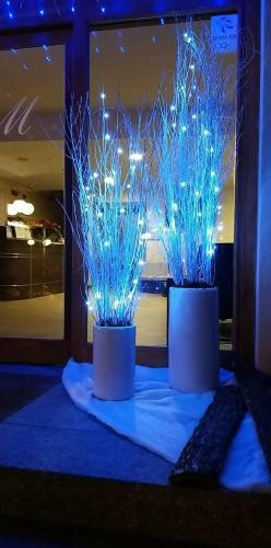 Hotel Albergo Rist Mariuccia