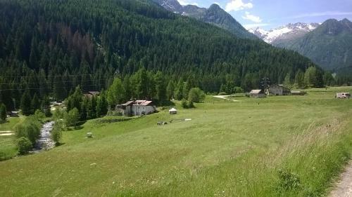 Rustico Bertolini