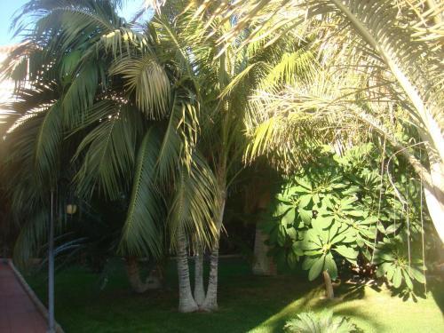 Hotel Villa Al Alba