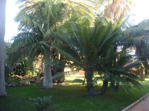 Hotel Villa Al Alba