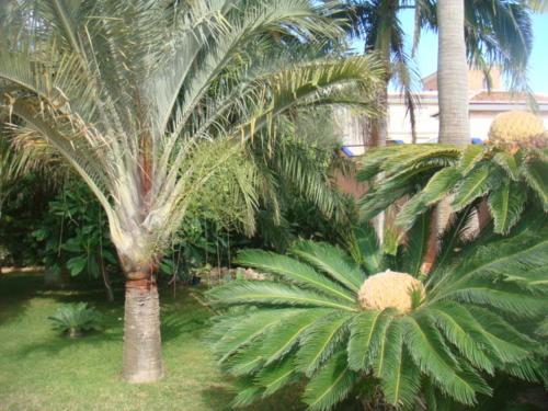 Hotel Villa Al Alba