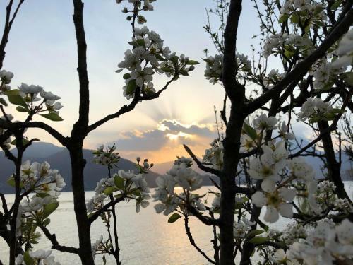La Casetta Varenna