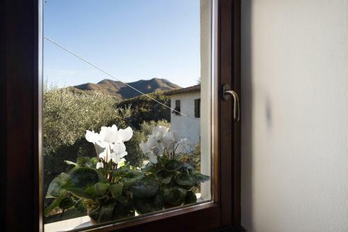Apartamento Antico Granaio