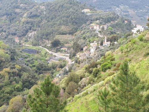 Apartamento Il Casotto Del Nonno